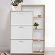Zenith Chest